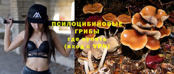 дмт Белоозёрский