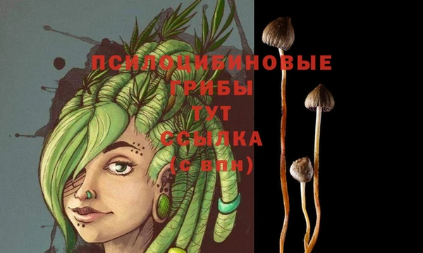 дмт Белоозёрский